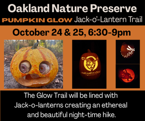 Join ONP for Pumpkin Glow Jack-o-lantern Trail October 24-25th